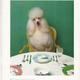 Image for article titled Anthropologie's New Models Are Total Animals